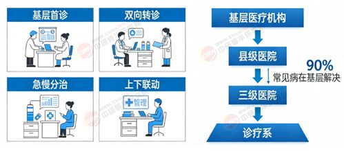 2026-2030年中國(guó)體外診斷行業(yè)全景調(diào)研與投資戰(zhàn)略規(guī)劃分析 信息技術(shù)咨詢服務(wù)的賦能與引領(lǐng)